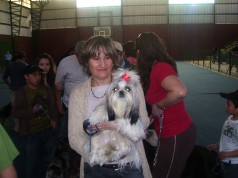 Fotos de perros